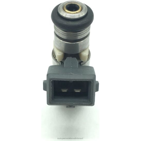 injeção de combustível iwp179 B06R8T240 auto peças brasil RENAULT