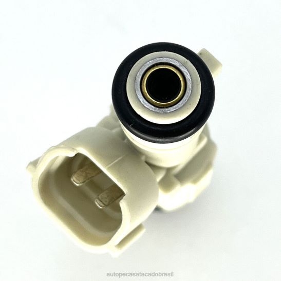 0280155969 injeção de combustível B06R8T458 autopeças campinas FORD