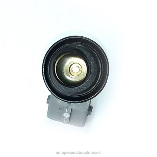 injeção de combustível wp176 B06R8T385 autopeças caxias do sul VW SKODA